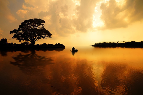 人这一生为什么非要努力不可?