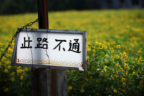 李承鹏:基本问答