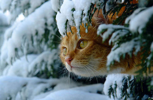 风雪里讨生活的人们,何以抵抗寒冬?