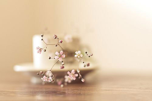 林清玄:爱与恨