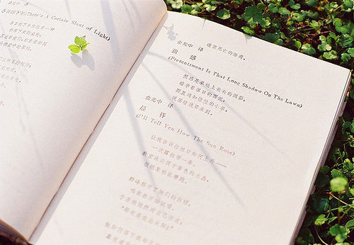 背弃了理想谁人都可以