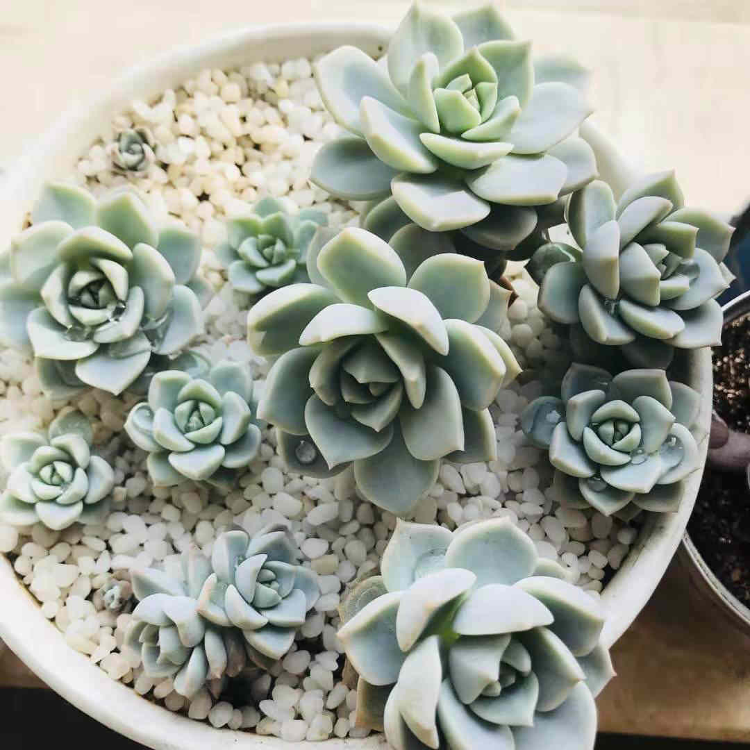 上班就是克制,但周末就是放肆 作者/专三千
