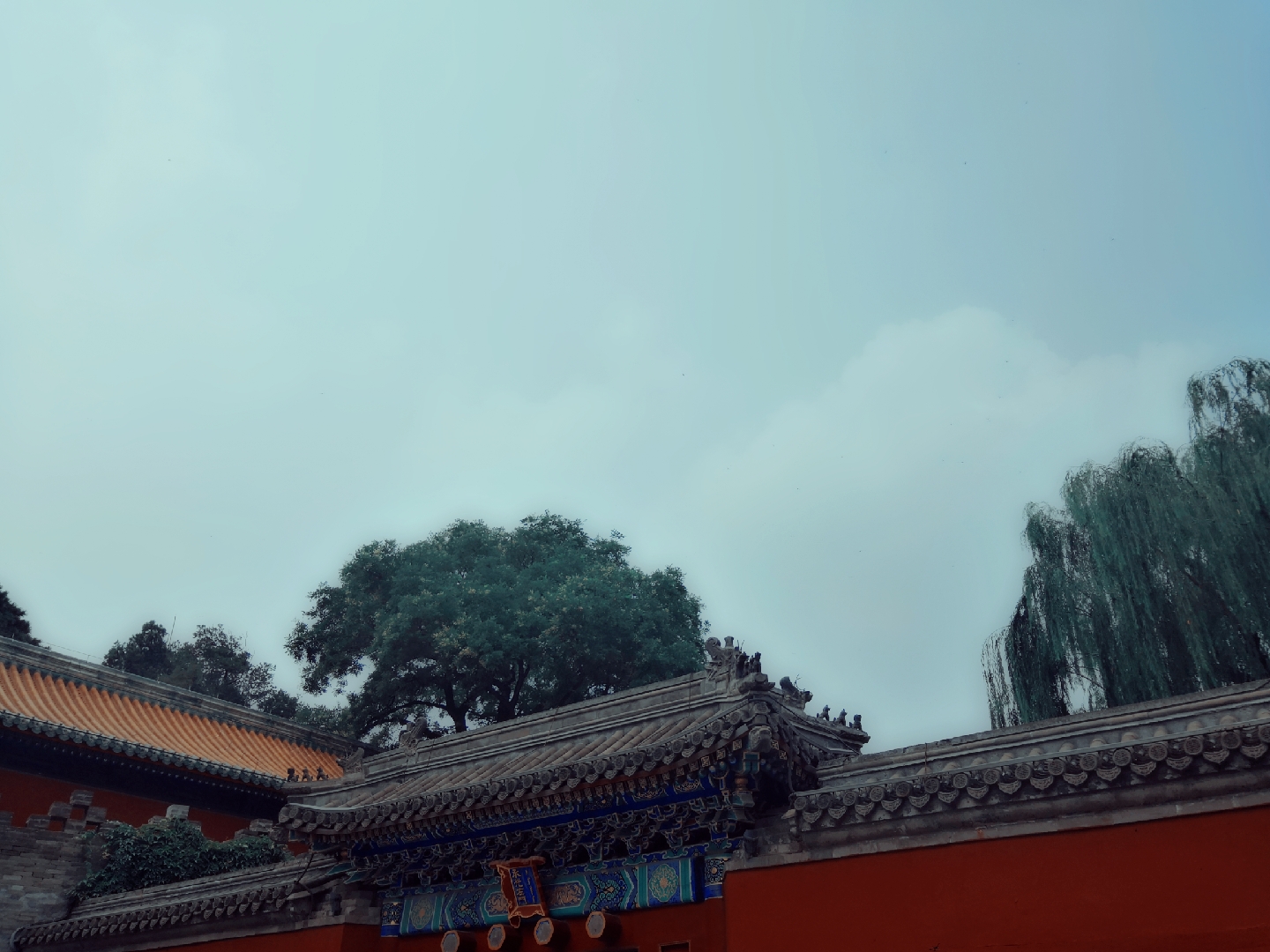 上班就是克制,但周末就是放肆 作者/专三千