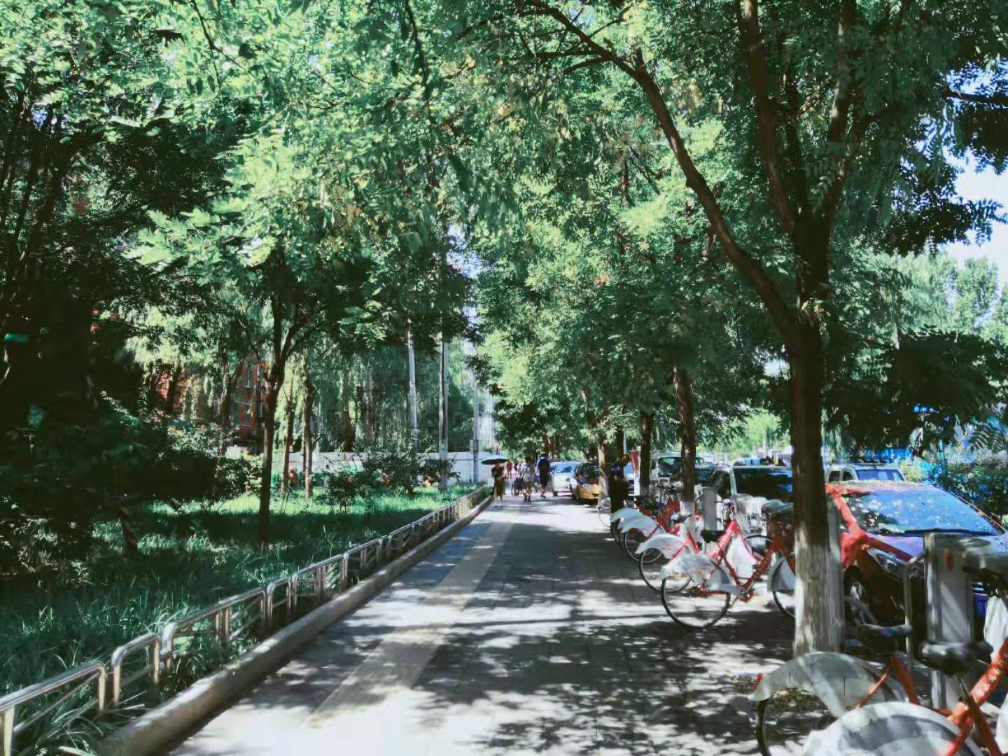 上班就是克制,但周末就是放肆 作者/专三千
