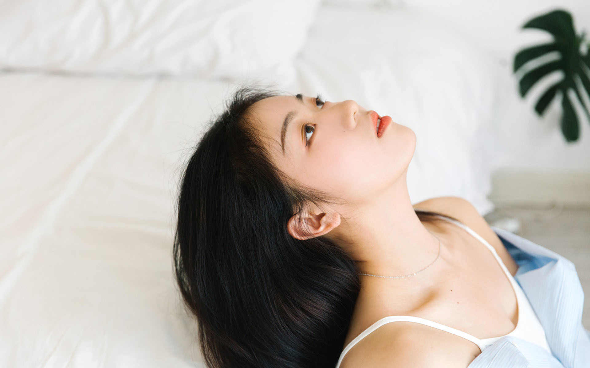星辰寂若兰 主角: 夏若兰, 江寂辰