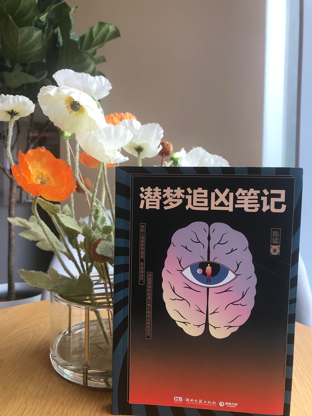 梦境折射人性,潜梦追击真相