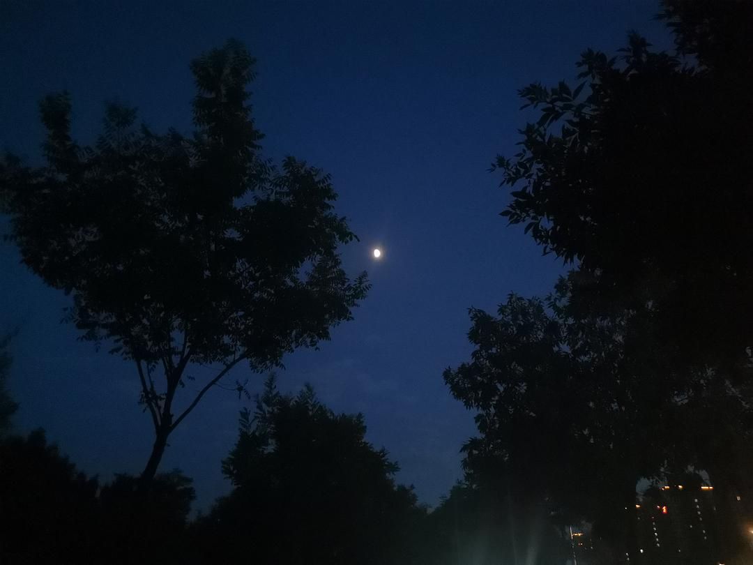 各位文人,我们重新认识一下