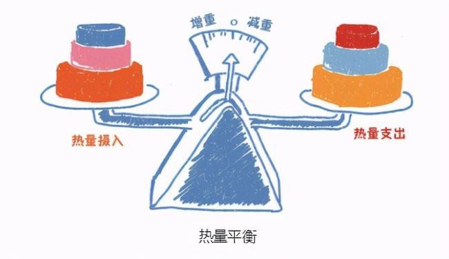 NO.31《边吃边瘦的营养书》让食物帮你燃烧卡路里 2/2