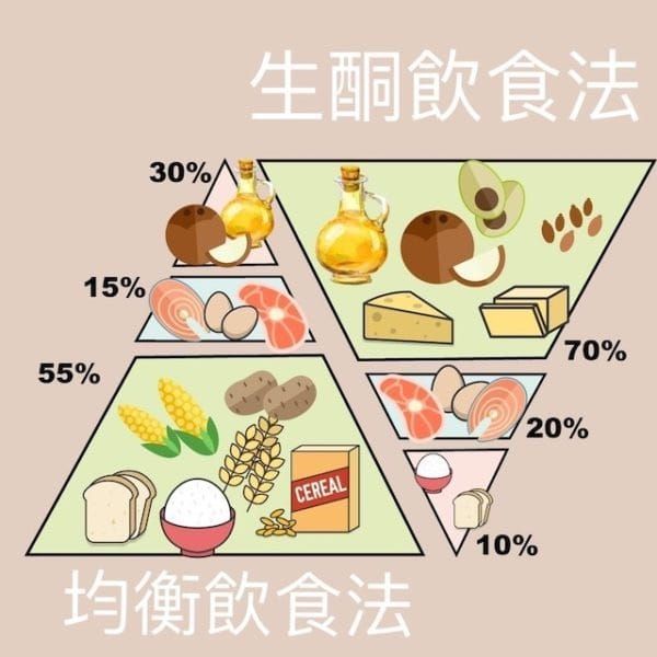 NO.31《边吃边瘦的营养书》让食物帮你燃烧卡路里 2/2