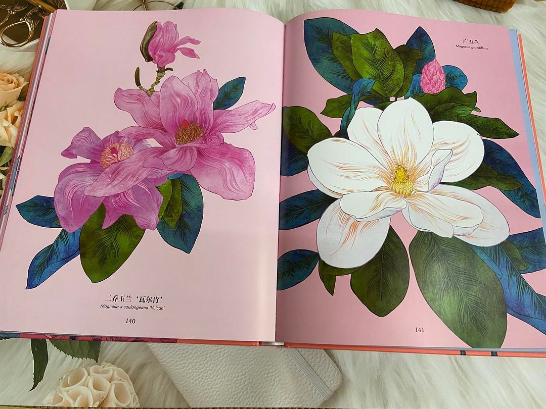 一场繁花似锦的视觉盛宴,你准备好了吗?