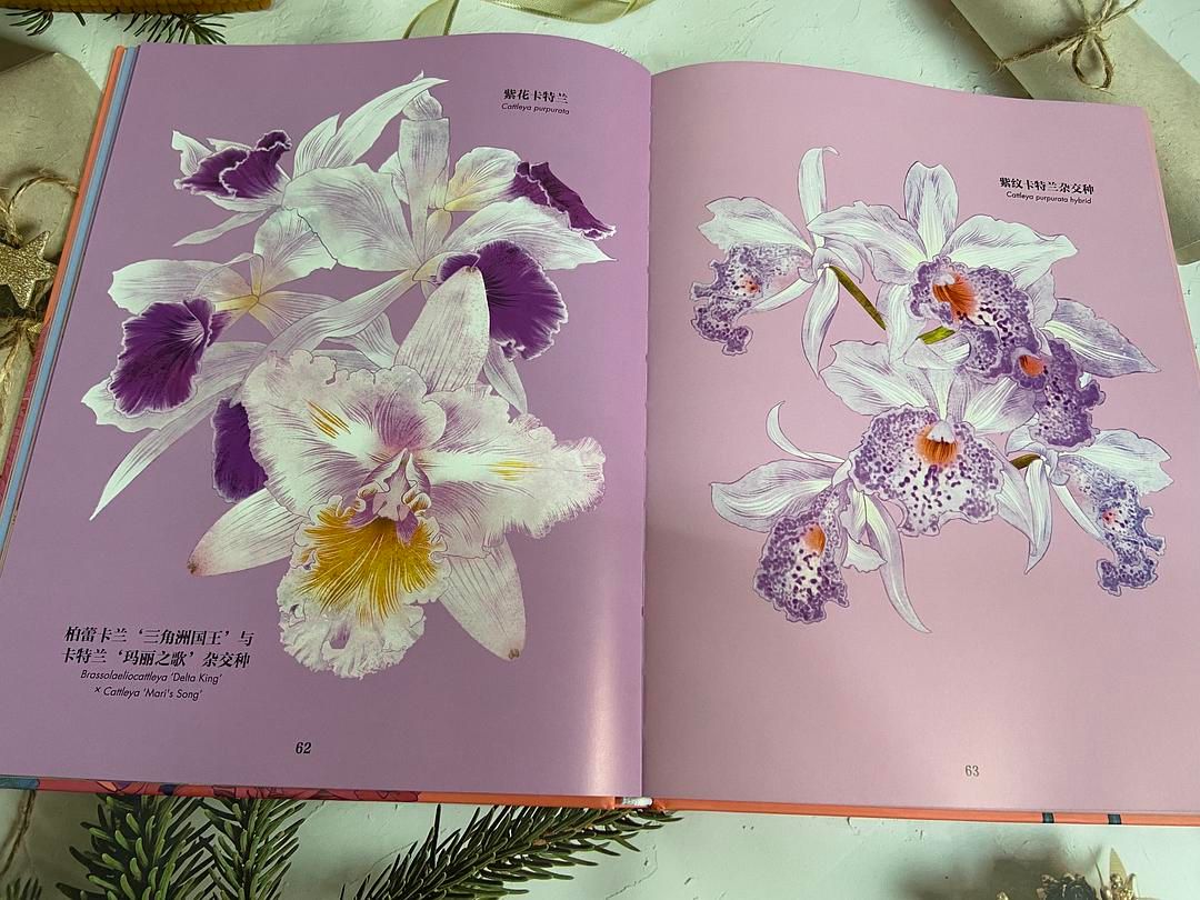 一场繁花似锦的视觉盛宴,你准备好了吗?