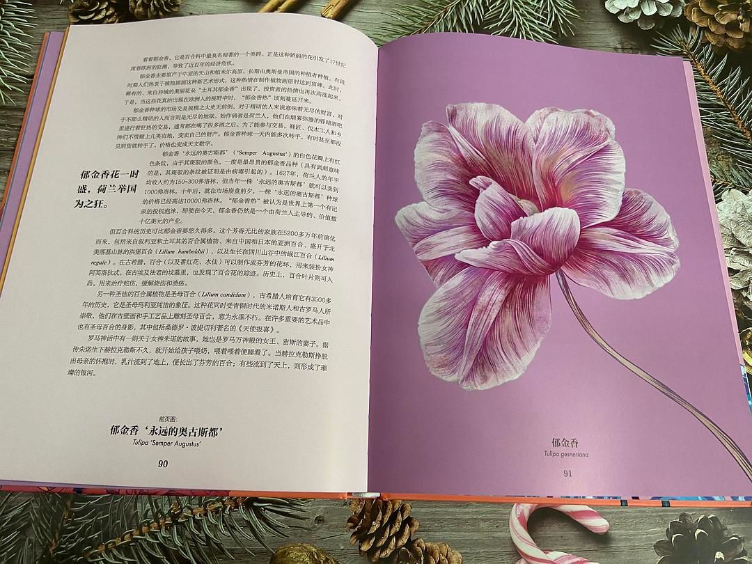一场繁花似锦的视觉盛宴,你准备好了吗?