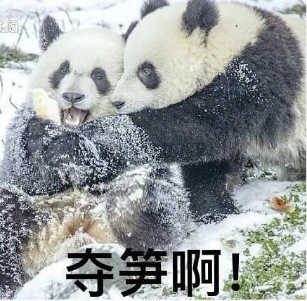 直男冯唐说他不是直男癌