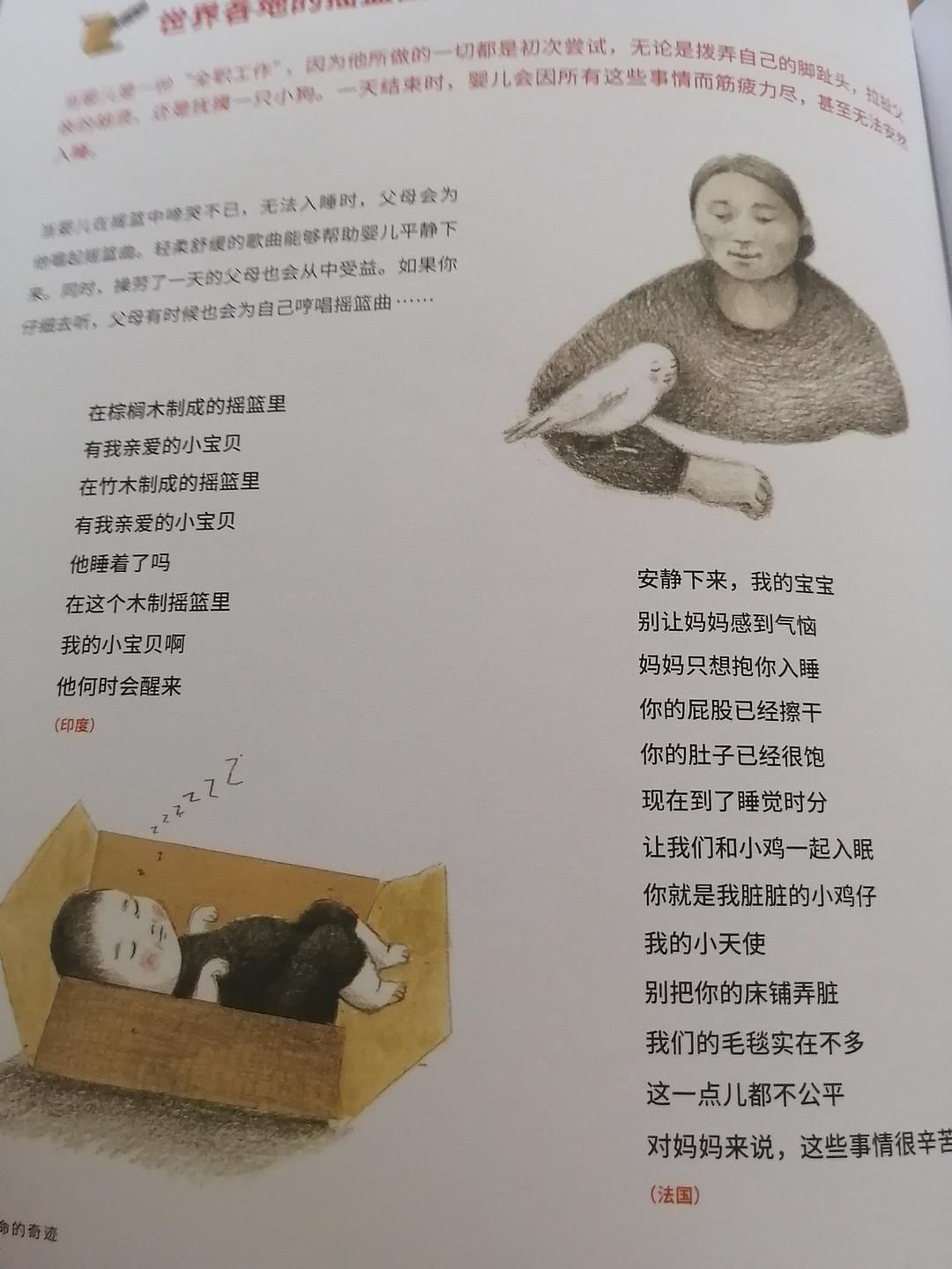《生命的奇迹》:曾经缺失生命教育课的我们如何让孩子们不再缺失