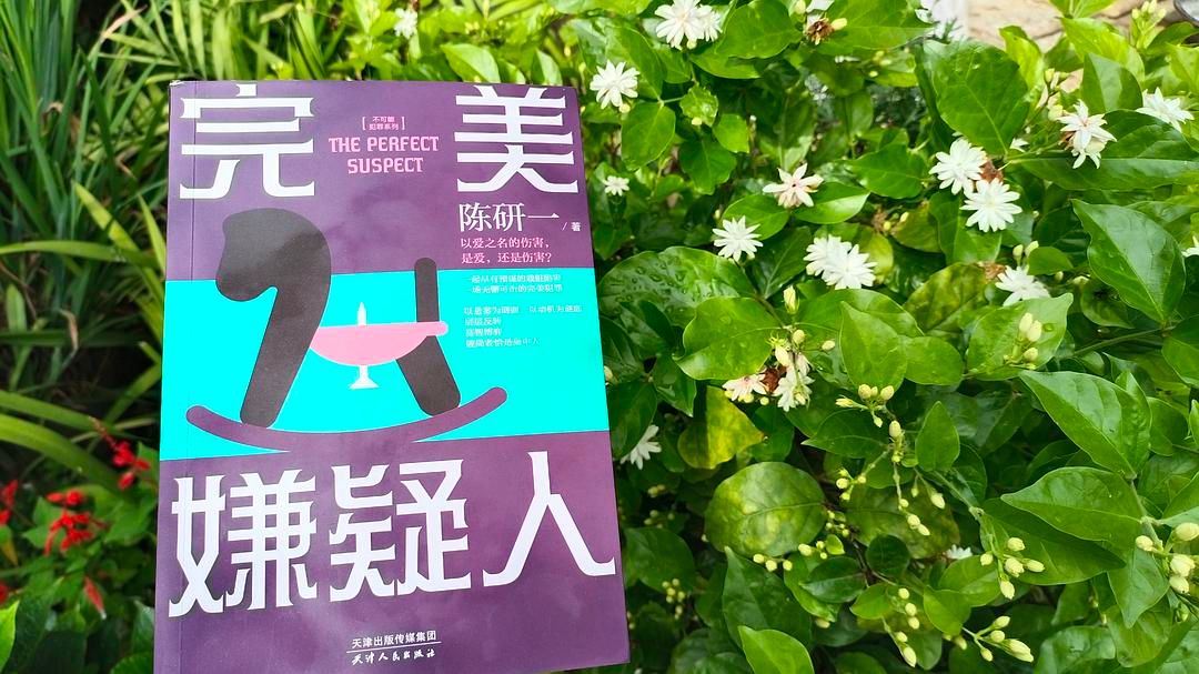 一股悬疑界蜻蜓点水般的清流