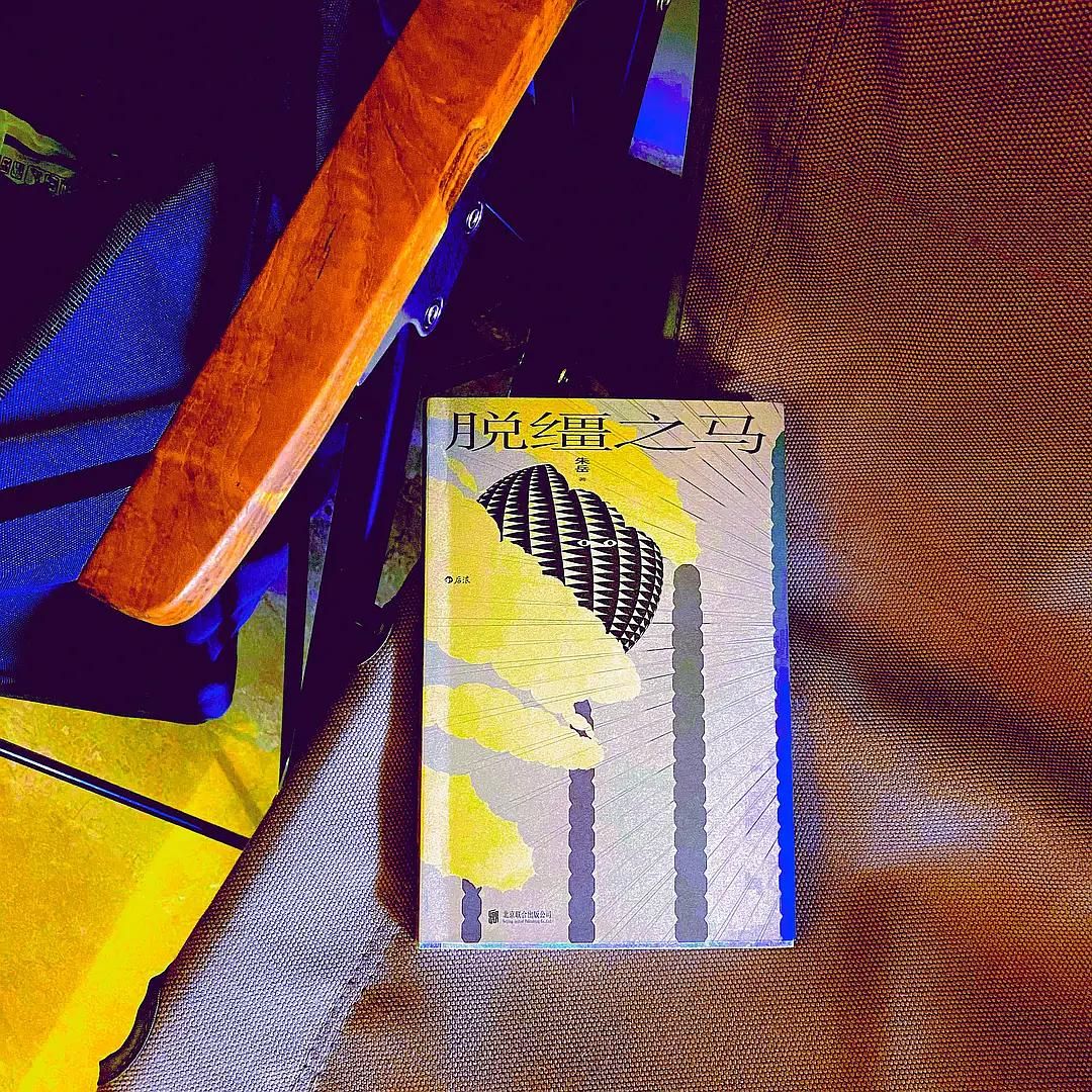 马的孤独,脱缰不脱节