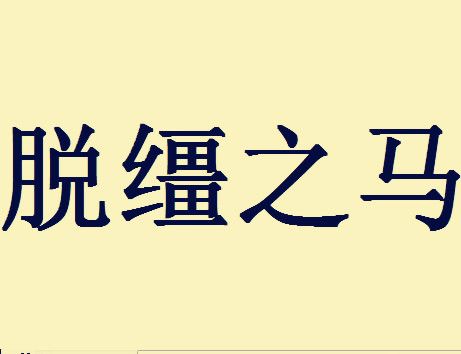 马的孤独,脱缰不脱节