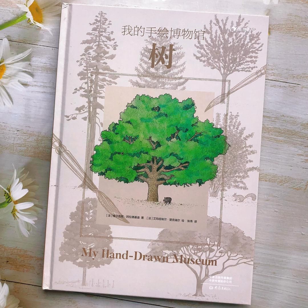 去森林里散散步吧