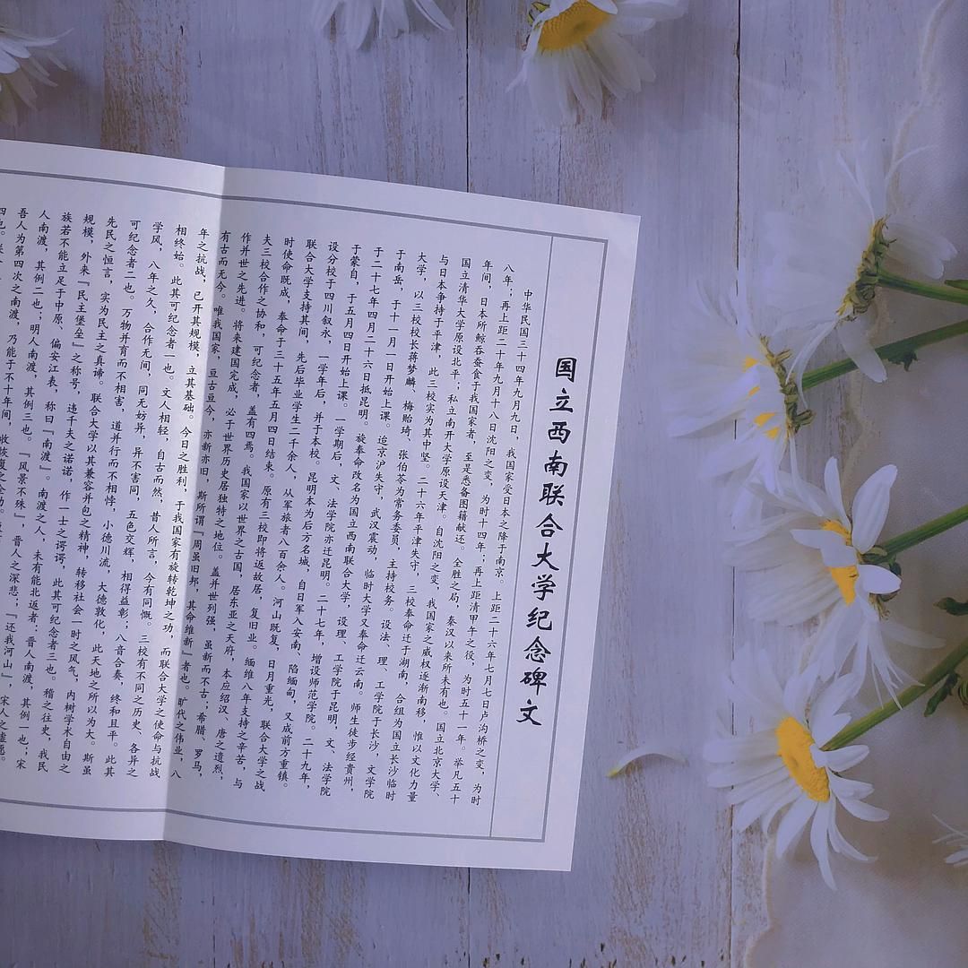 身处黑暗,脚踩光明