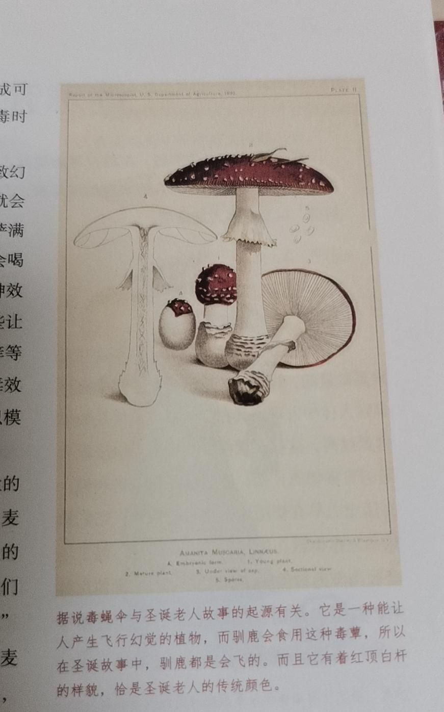 从历史故事中认识毒药