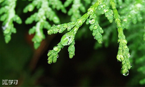 心累了有关雨的伤感说说