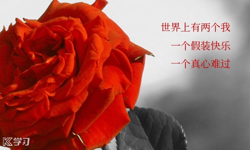 非常失望的说说伤感语录