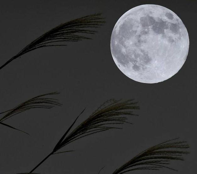 中秋节的伤感说说图片_2020一个人的中秋节心酸说说