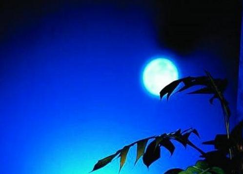 中秋节的伤感说说图片_2020一个人的中秋节心酸说说