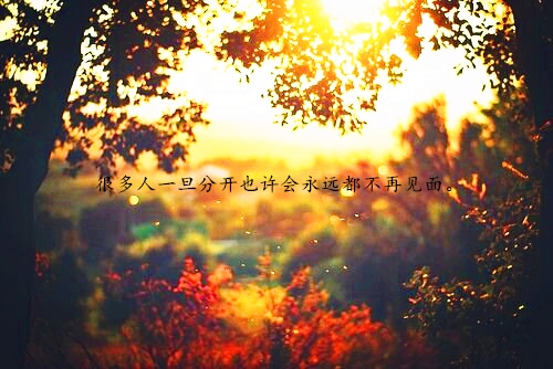 最催泪的伤感说说大全
