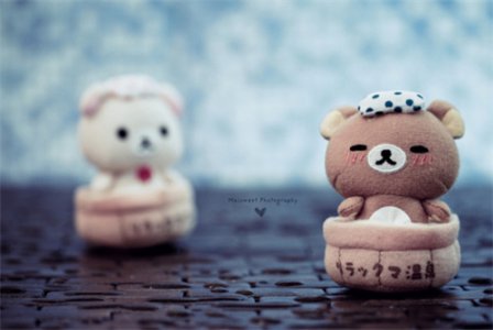 没有人懂你的伤感说说
