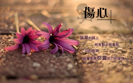 没人聊天的说说 没人聊天睡觉了的说说
