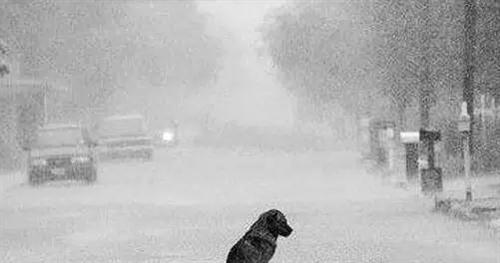 关于淋雨的说说 关于淋雨的伤感说说