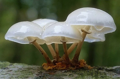 远嫁好想回家的说说 远嫁他乡的伤感句子