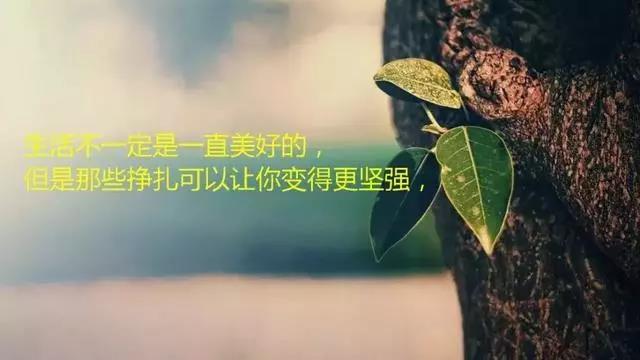早安心语简短的说说语录 朋友圈触动人心的句子