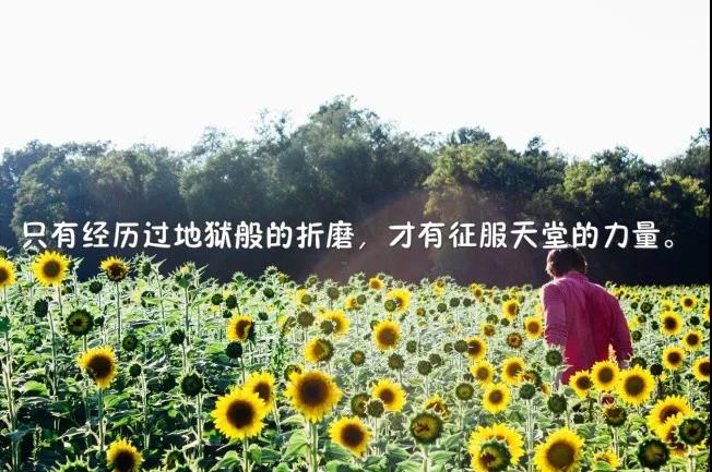 早安心语朋友圈触动人心经典励志人生短语