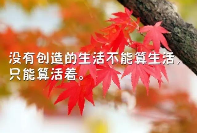 早安心语朋友圈触动人心经典励志人生短语