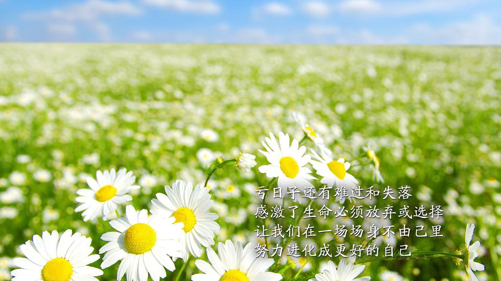 周末愉快早安心语特别走心的正能量人生励志语录