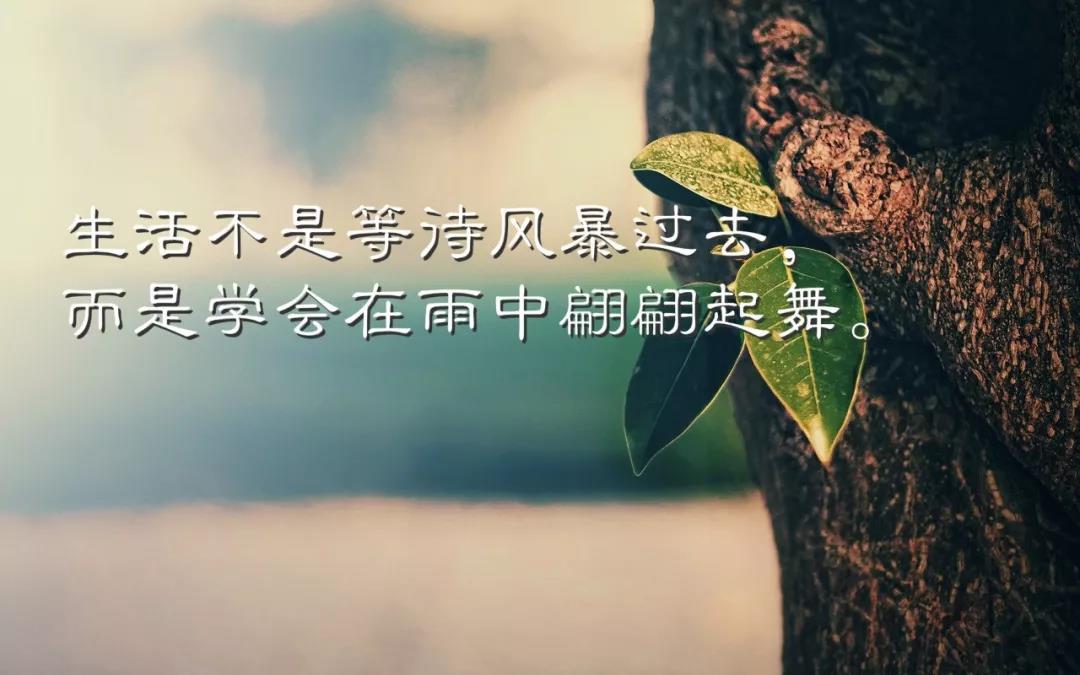 早安心语优美的有哲理的短句让你早晨正能量满满