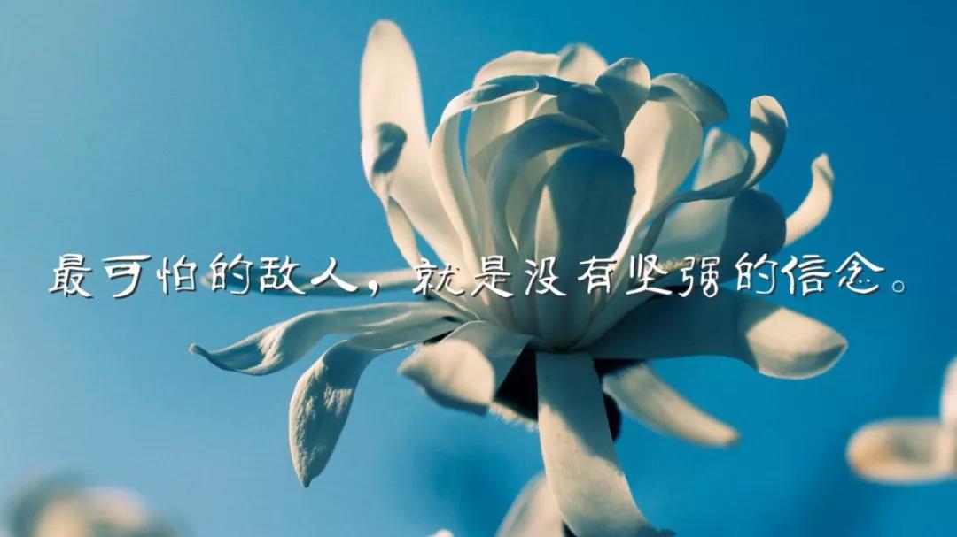 早安心语优美的有哲理的短句让你早晨正能量满满