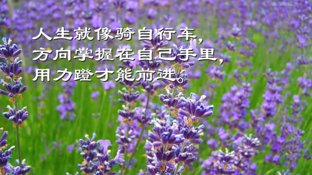 早安心语优美的有哲理的短句让你早晨正能量满满