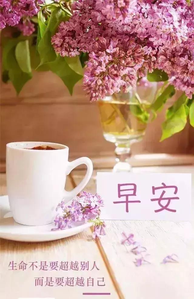早安心语优美的有哲理的短句让你早晨正能量满满