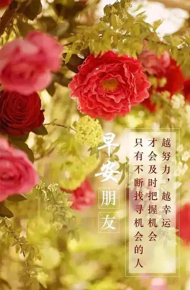 早安心语优美的有哲理的短句让你早晨正能量满满