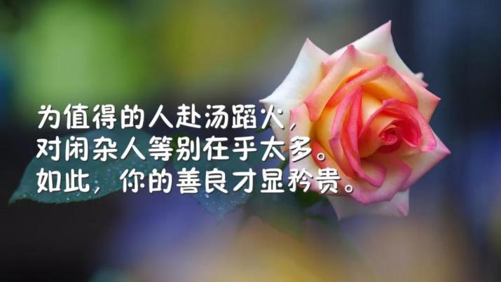 2019晚安说说致自己一句话 女生睡前发朋友圈的短句