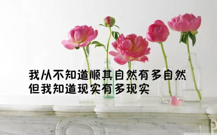 2019晚安说说致自己一句话 女生睡前发朋友圈的短句