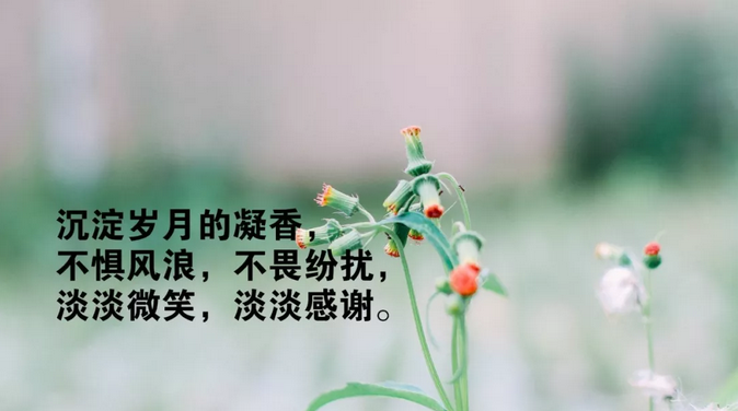 清晨心语录经典句子 短小精悍的清晨微语