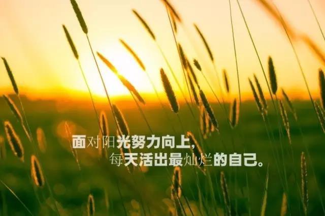 2019早安励志正能量精辟短句 2月最新早安发朋友圈激励语