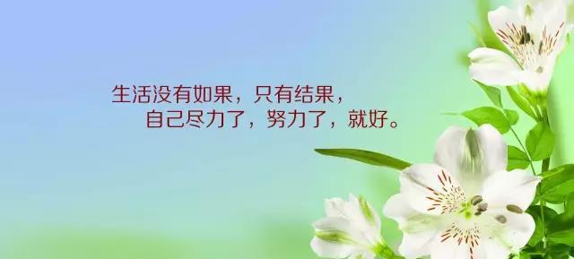 2019早安励志正能量精辟短句 2月最新早安发朋友圈激励语