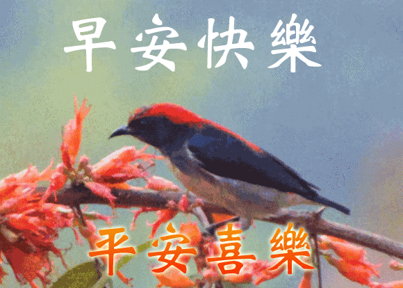 微信朋友圈早上励志激励语句 早晨激励人的励志语句