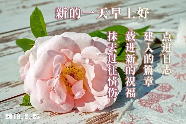 又是新的一周2019最新正能量满满的每日早安晨语