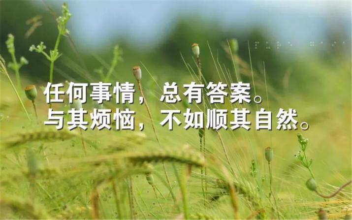 微信早安心语励志激励语 句句充满早安正能量
